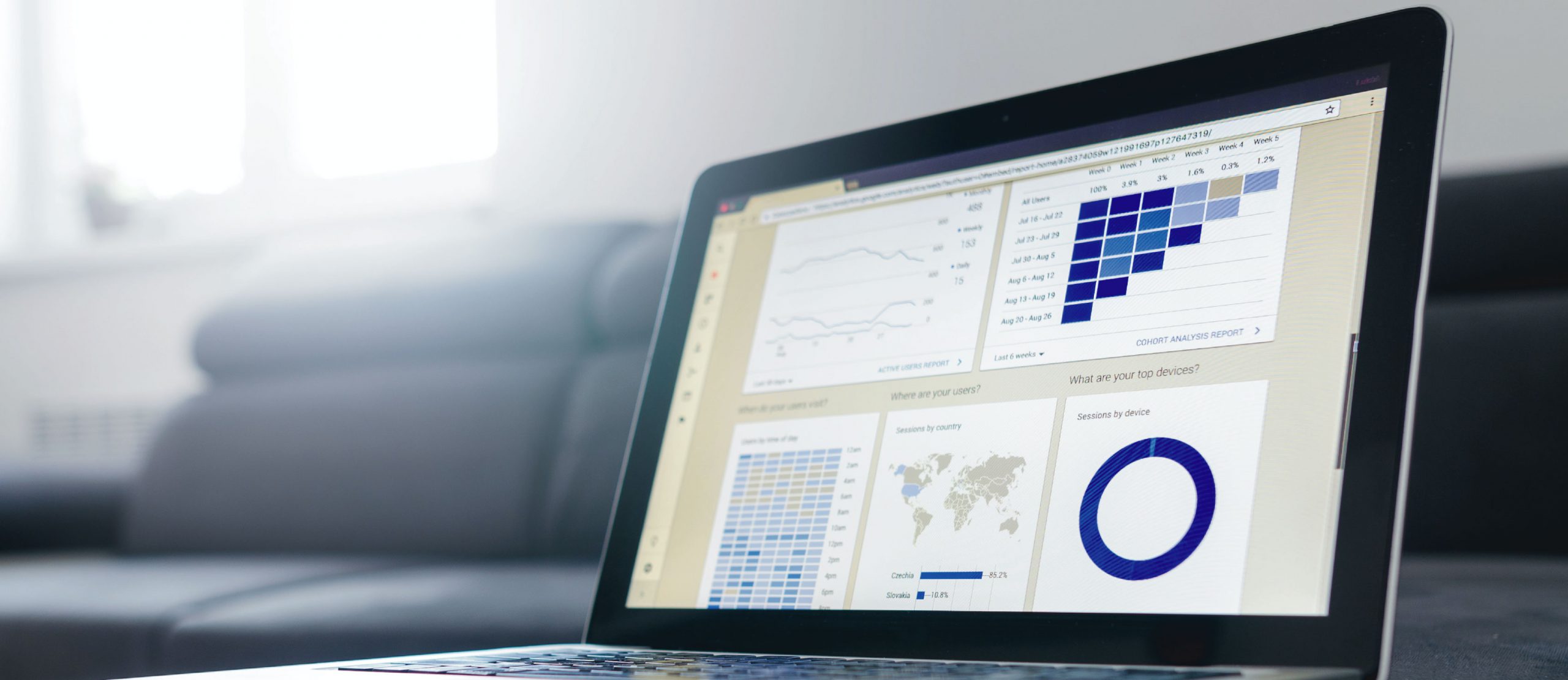 A laptop showing statistical information (pie charts and graphs).